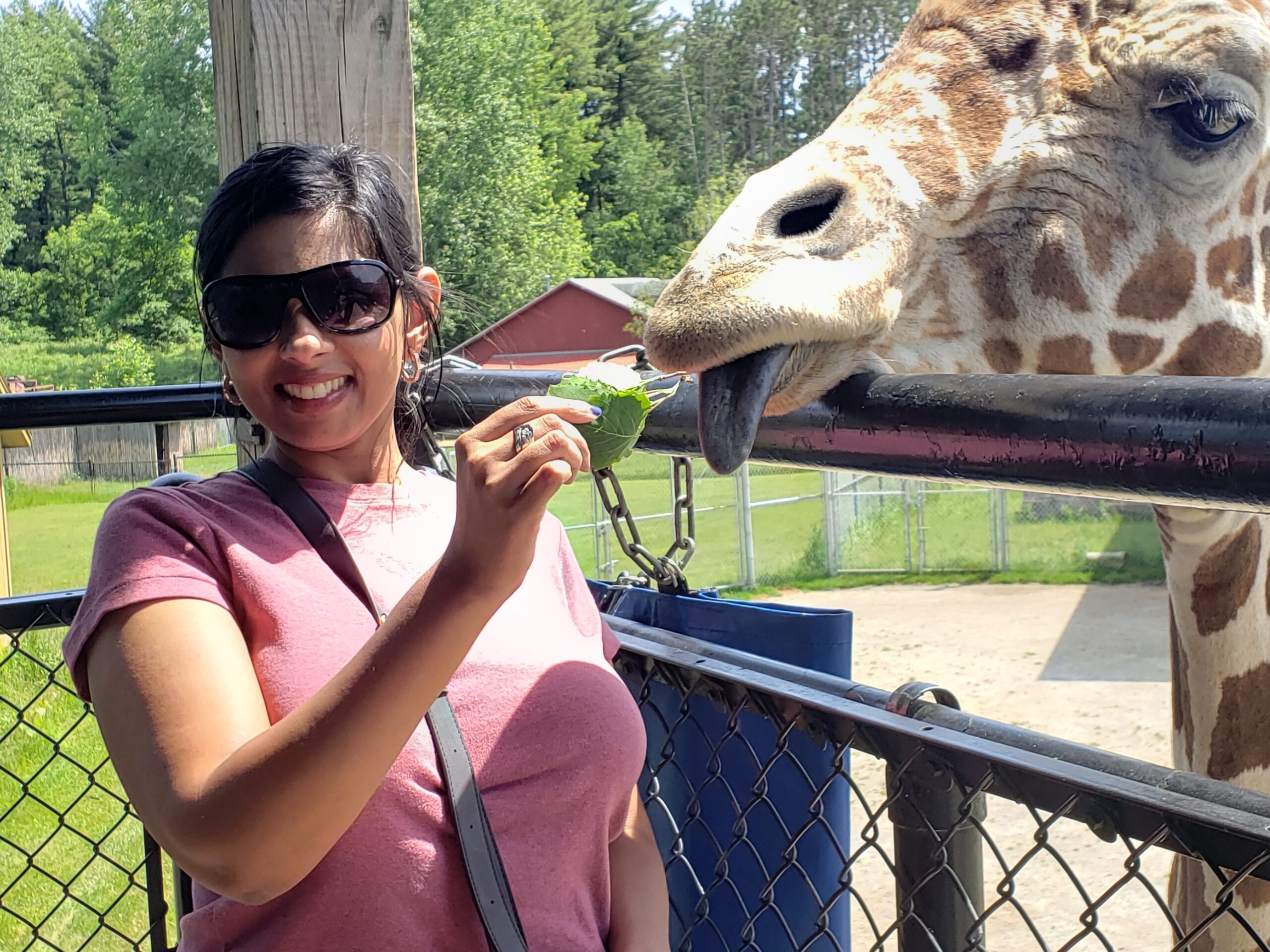Green Bay Zoo
