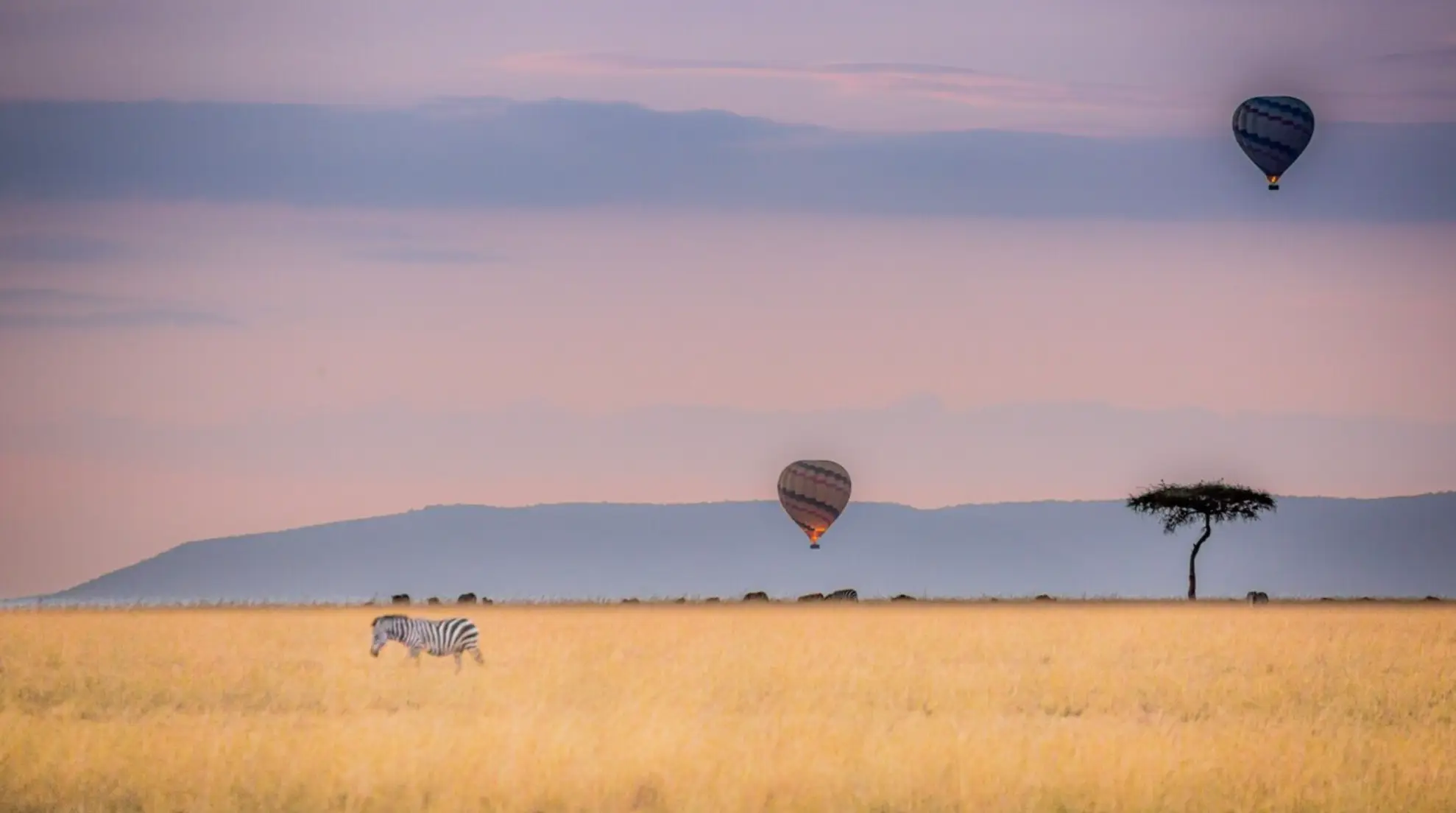 Safari in Masai Mara