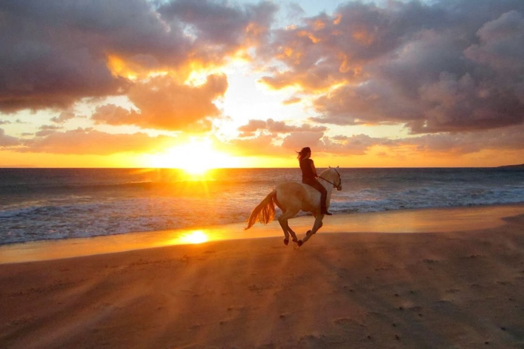 Sunset horseback riding 