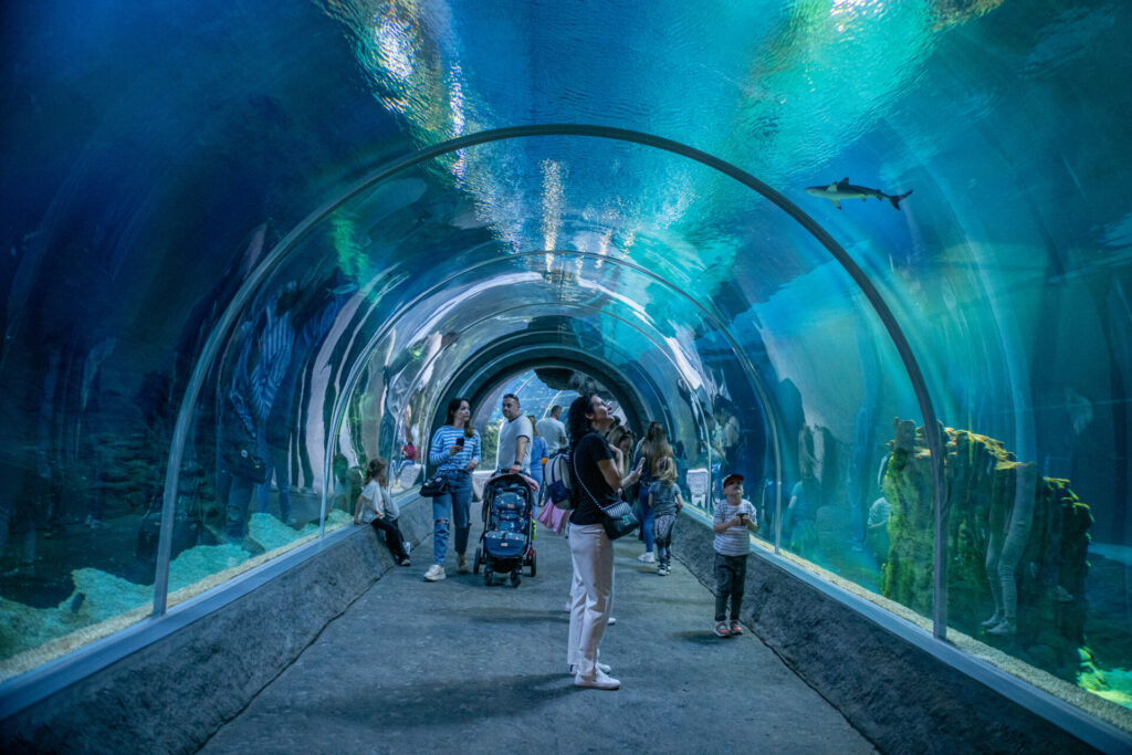 Oceananrium