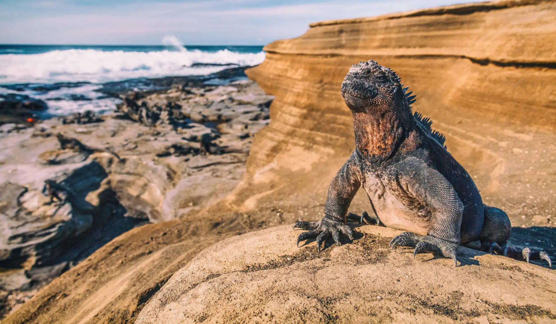 Galapagos