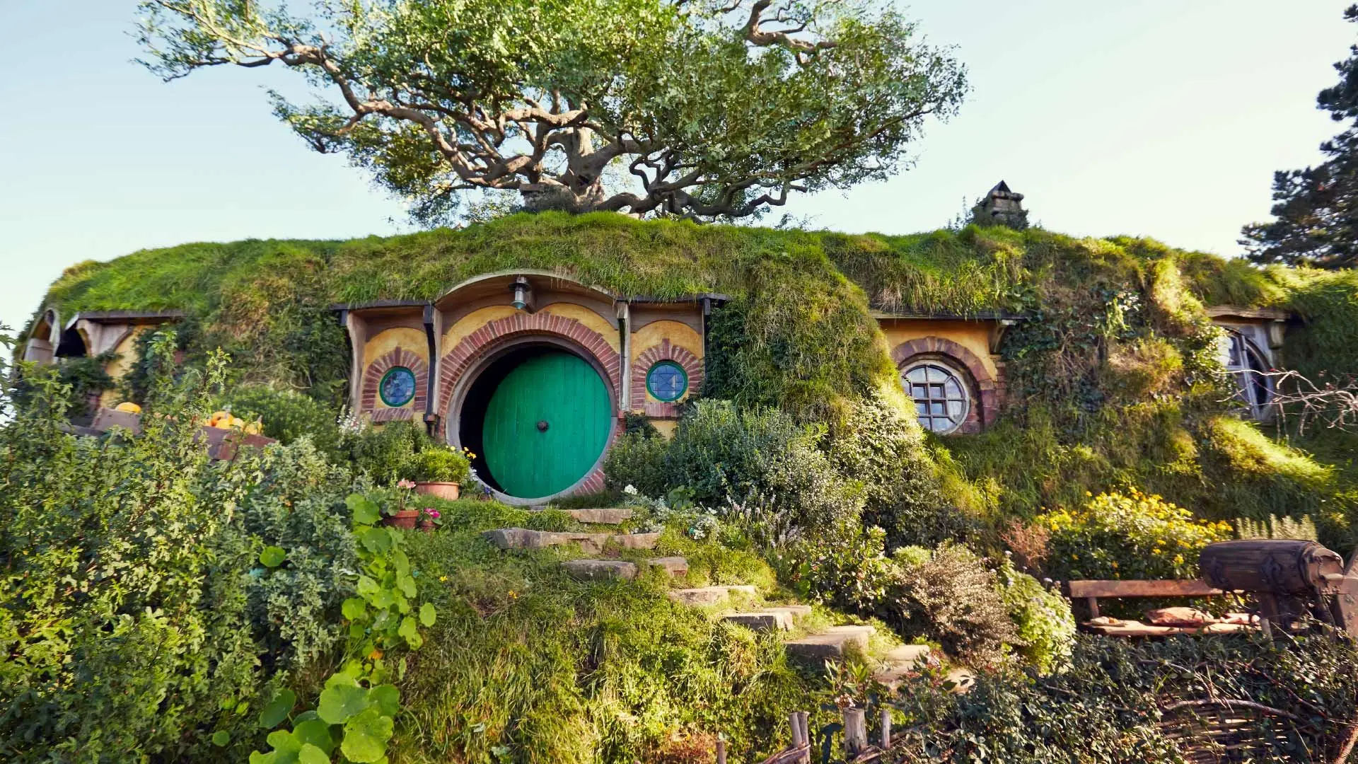 Hobbiton Tour