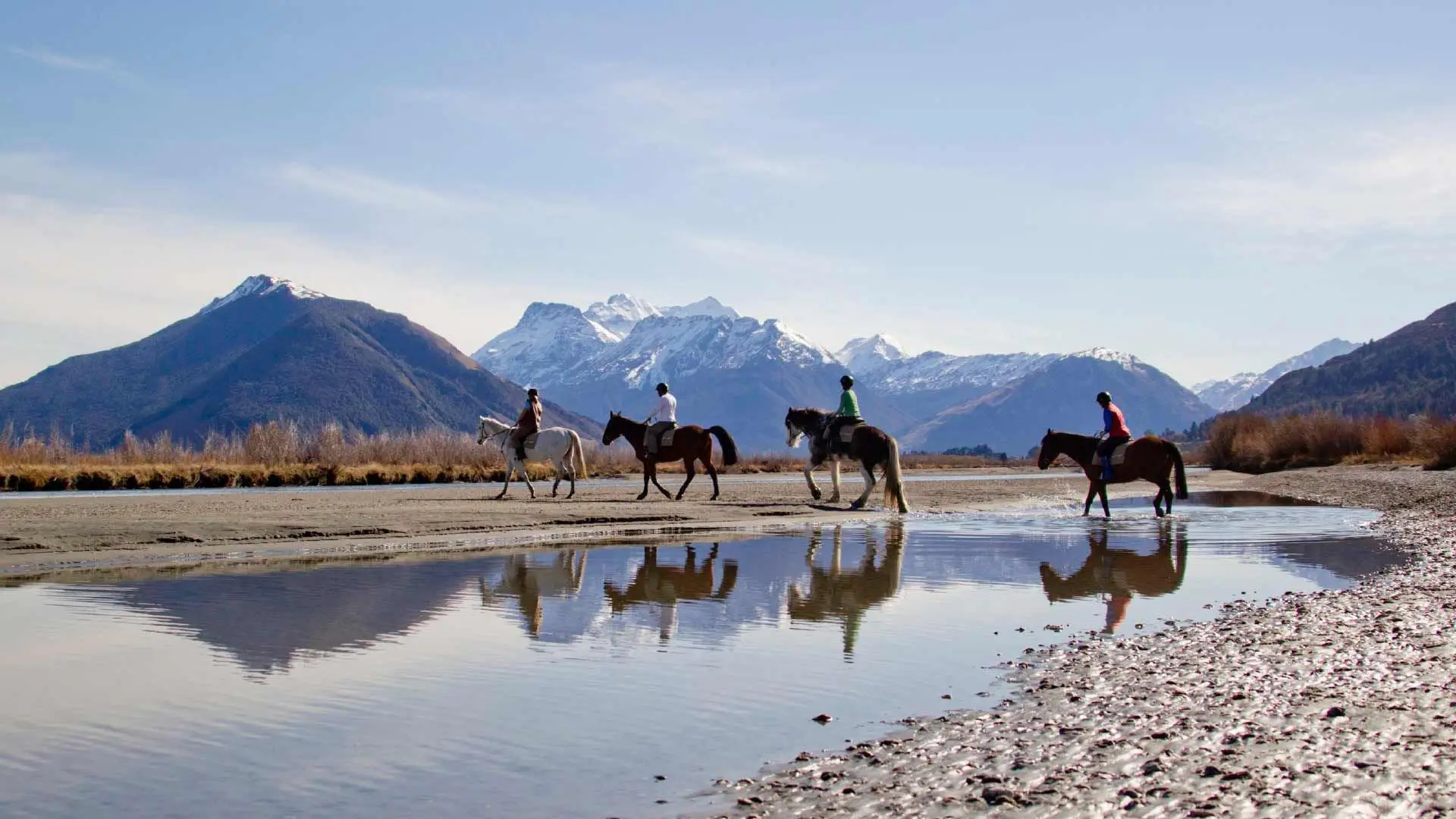Horse Riding