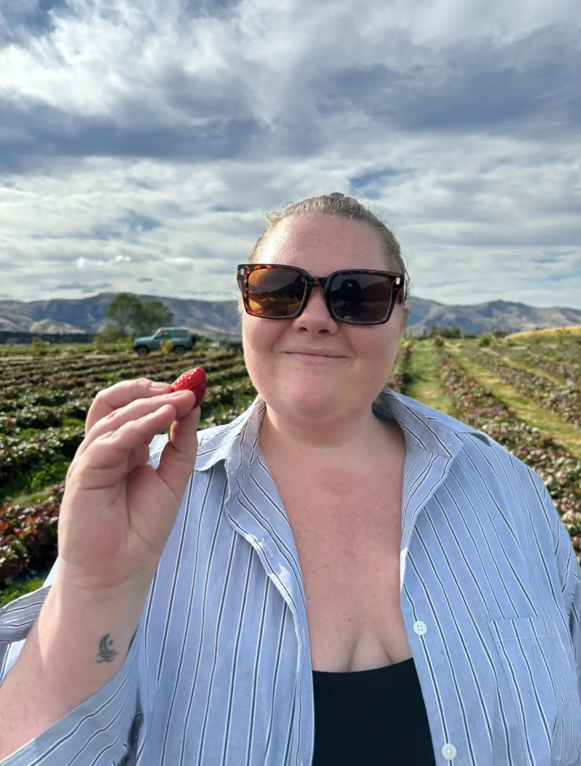 Pick Your Own Strawberries @ Red Bridge Berry Farm