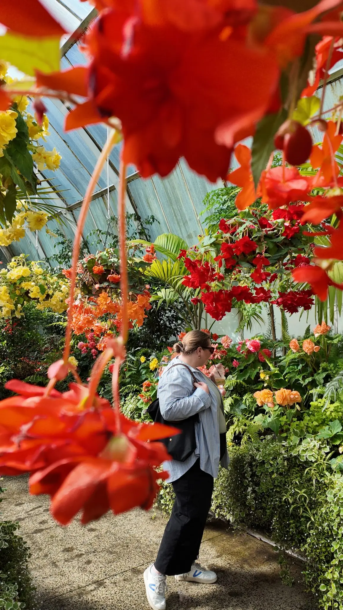 Christchurch Botanic Garden