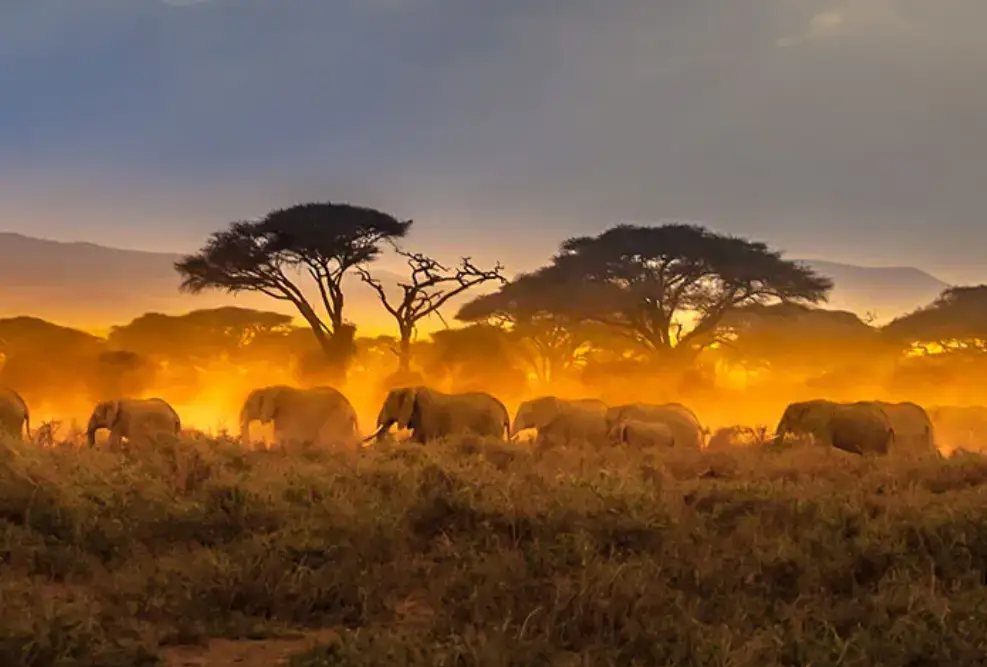 Africa
