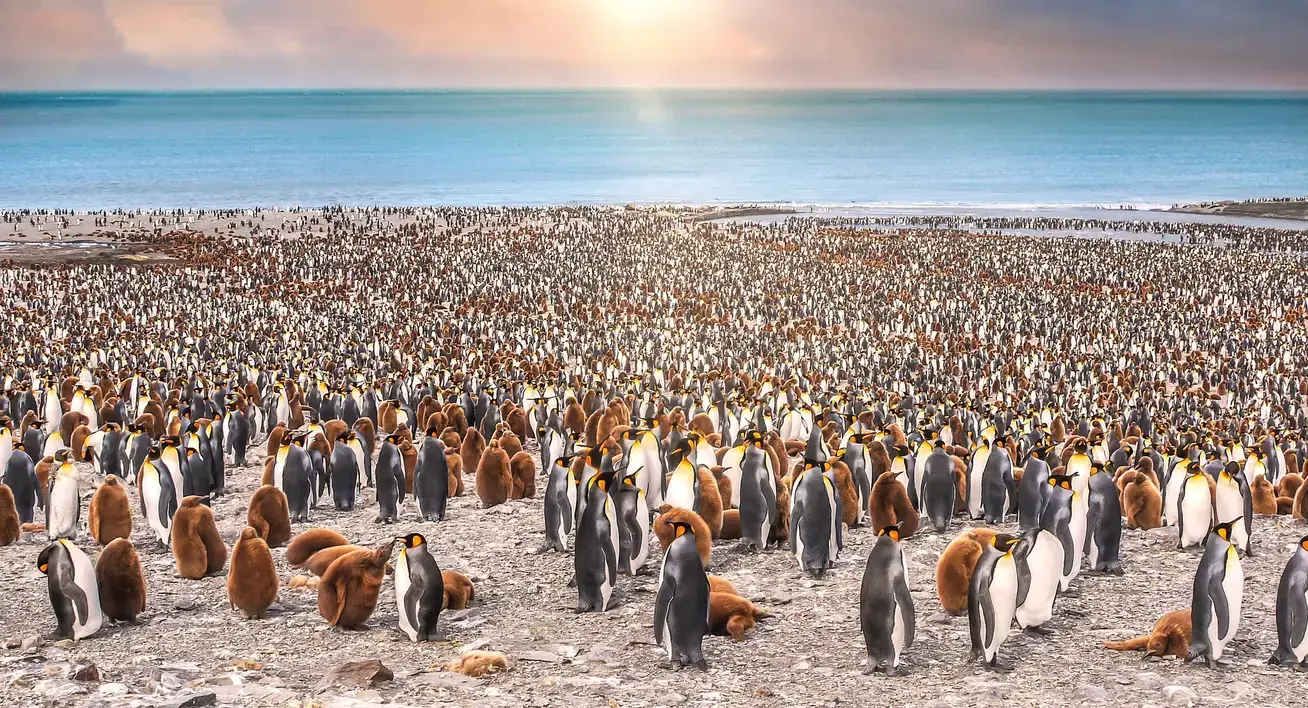 Antarctica