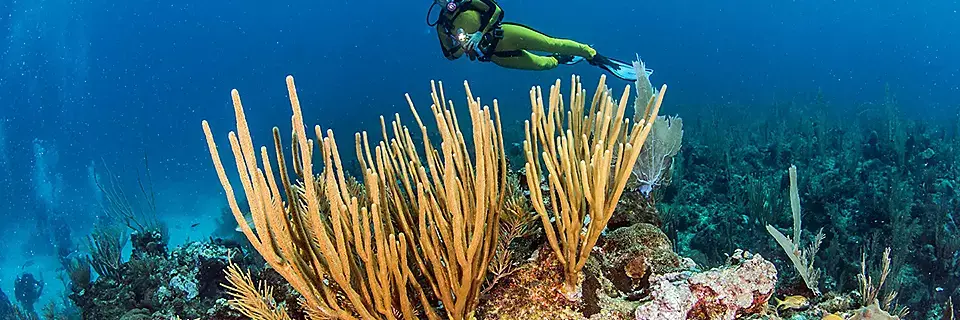 Belize