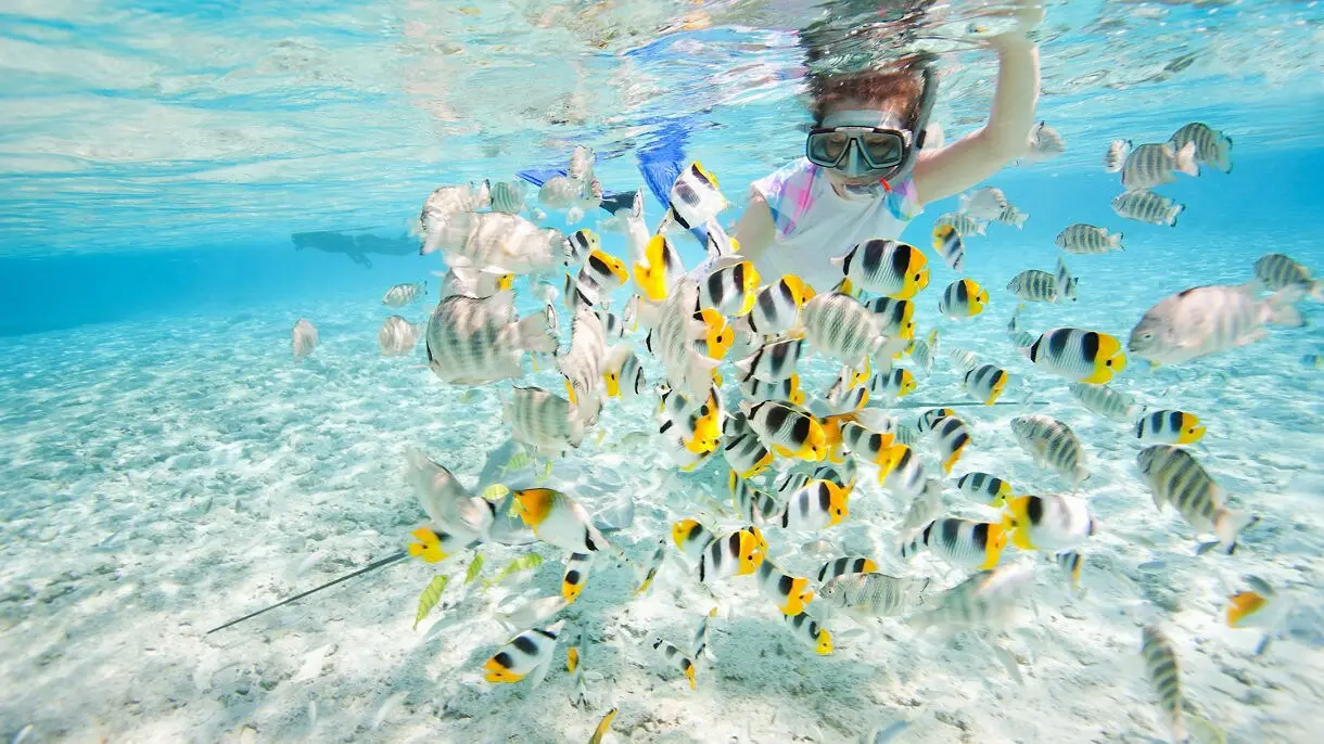 Tahiti, French Polynesia & South Pacific Cruises