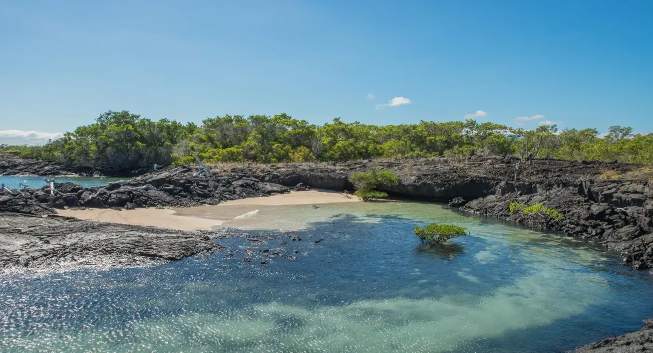 Galápagos Islands