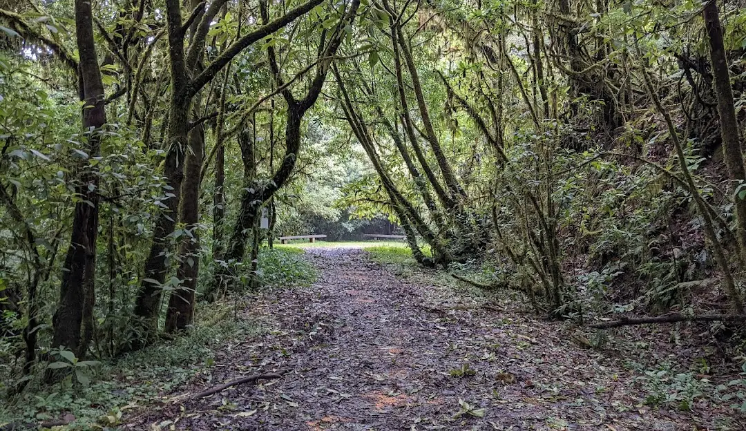 Parque Nacional La Tigra